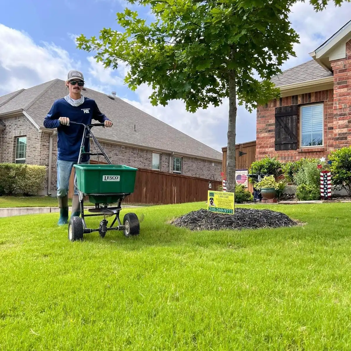 Fall Fertilization Mistakes to Avoid on Your San Antonio Lawn